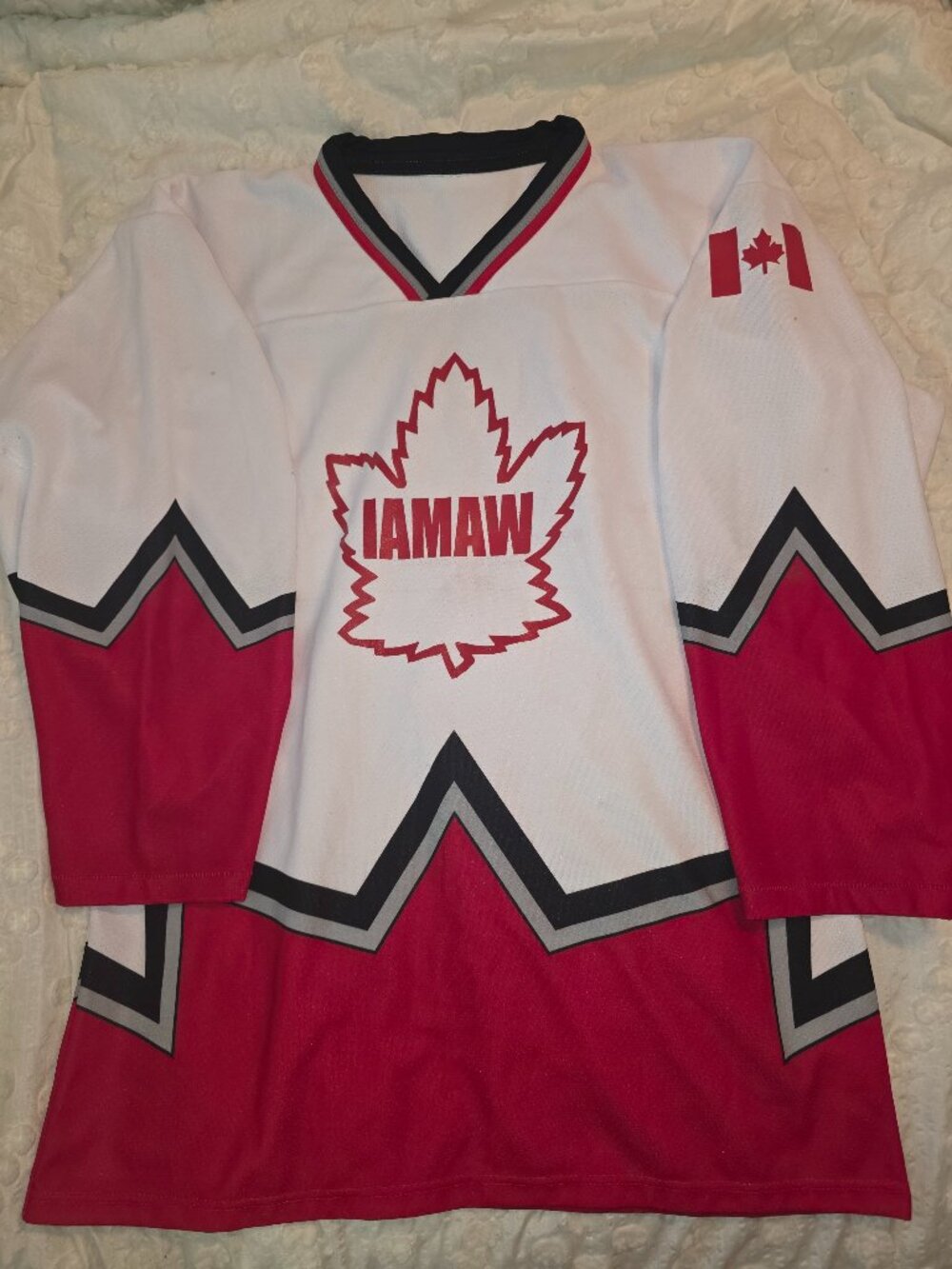 Canada Toronto IAMAW  Grand Lodge Convention Hockey Jersey Union Memorabilia
